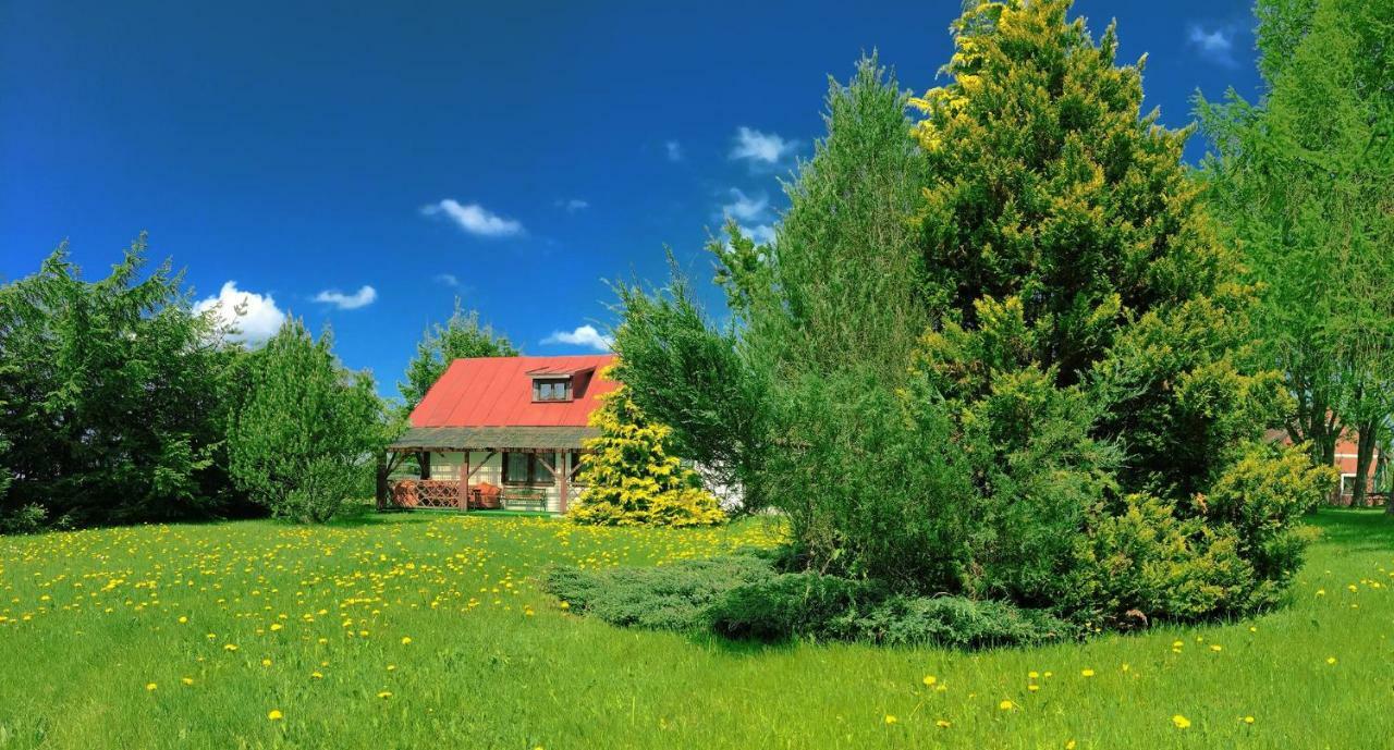 Agroturystyka Falinka Wizajny Exterior foto